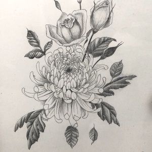 Meet your Posher, Almalissya